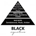 Feral Σετ Αρωματικών Αυτοκινήτου Feral Basics Collection Black 10 Τεμάχια